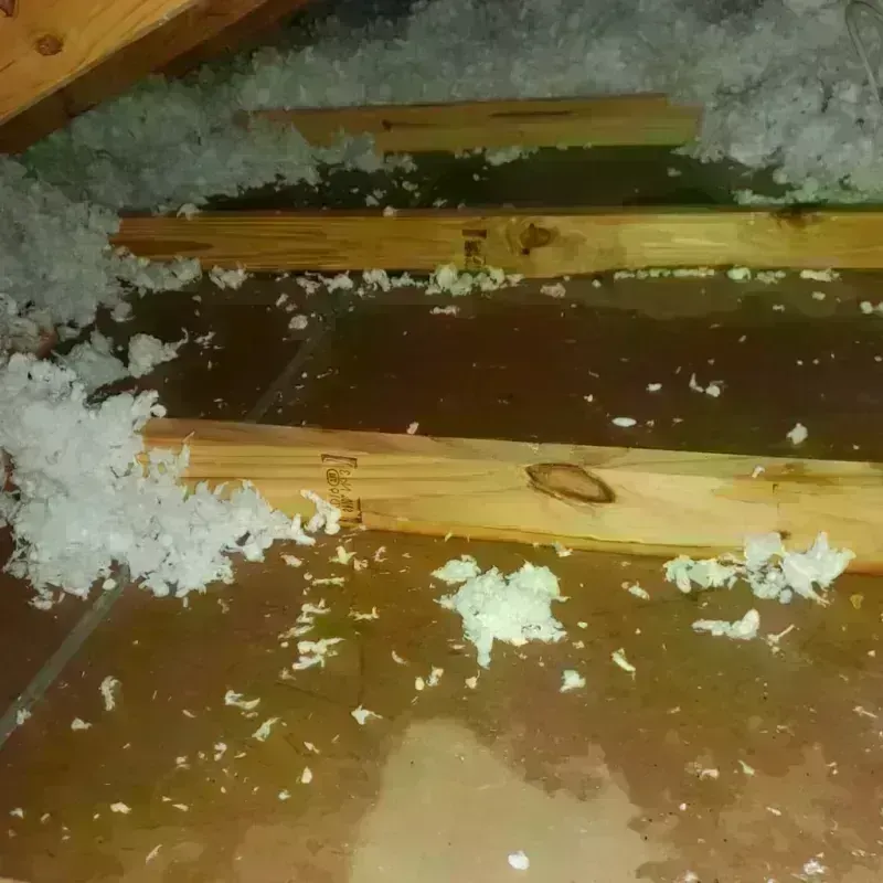 Best Attic Water Damage Service in Pittsylvania County, VA