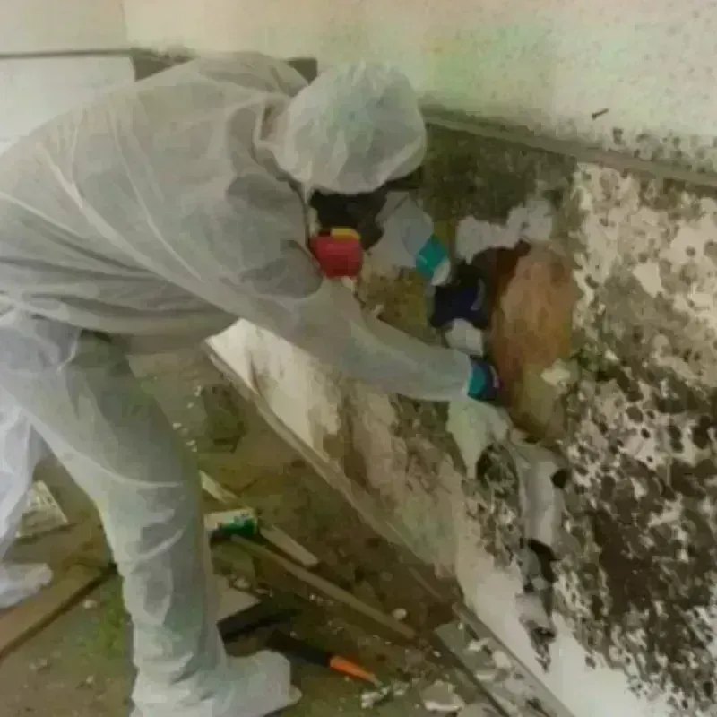 Mold Remediation and Removal in Pittsylvania County, VA